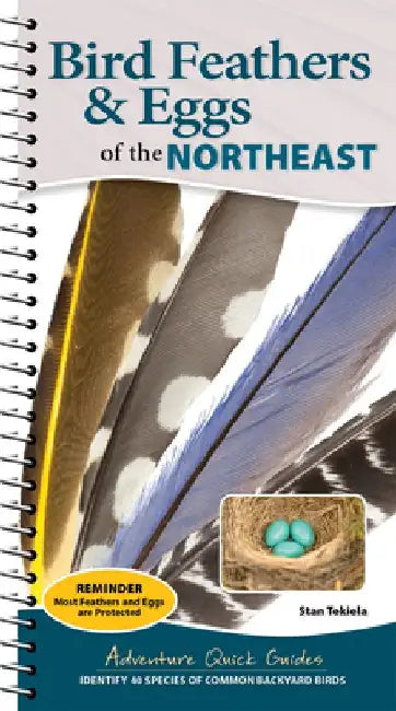 Bird Feathers & Eggs of the Northeast: Identify 40 Species of Common Backyard Birds by Stan Tekiela