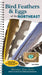 Bird Feathers & Eggs of the Northeast: Identify 40 Species of Common Backyard Birds by Stan Tekiela