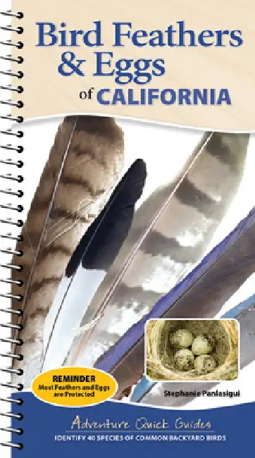 Bird Feathers & Eggs of California: Identify 40 Species of Common Backyard Birds by Stephanie Panlasigui