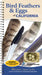 Bird Feathers & Eggs of California: Identify 40 Species of Common Backyard Birds by Stephanie Panlasigui