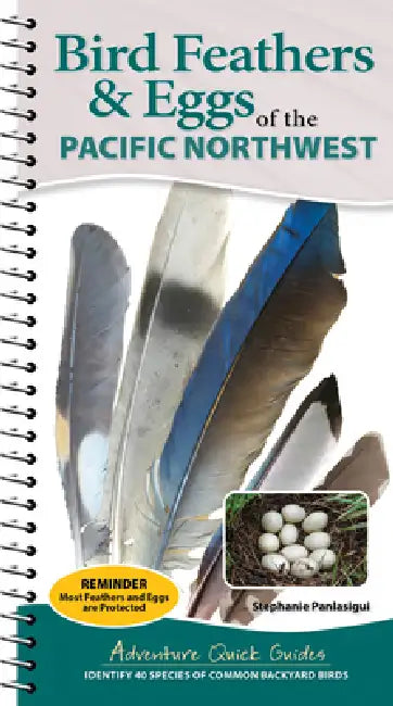 Bird Feathers & Eggs of the Pacific Northwest: Identify 40 Species of Common Backyard Birds by Stephanie Panlasigui
