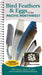 Bird Feathers & Eggs of the Pacific Northwest: Identify 40 Species of Common Backyard Birds by Stephanie Panlasigui