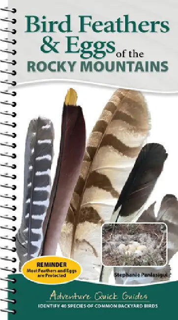 Bird Feathers & Eggs of the Rocky Mountains: Identify 40 Species of Common Backyard Birds by Stephanie Panlasigui
