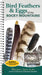 Bird Feathers & Eggs of the Rocky Mountains: Identify 40 Species of Common Backyard Birds by Stephanie Panlasigui