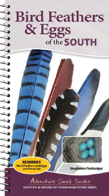 Bird Feathers & Eggs of the South: Identify 40 Species of Common Backyard Birds by Stephanie Panlasigui