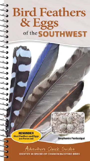 Bird Feathers & Eggs of the Southwest: Identify 40 Species of Common Backyard Birds by Stephanie Panlasigui