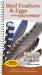Bird Feathers & Eggs of the Southwest: Identify 40 Species of Common Backyard Birds by Stephanie Panlasigui