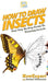 How To Draw Insects: Your Step By Step Guide To Drawing Insects by Howexpert