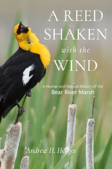 A Reed Shaken with the Wind: A Human and Natural History of the Bear River Marsh by Andrew H. Hedges