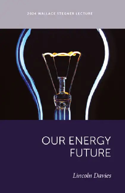 Our Energy Future by Lincoln Davies