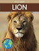 Lion: Fascinating Animal Facts for Kids by Tyler Grady
