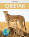 Cheetah: Fascinating Animal Facts for Kids by Tyler Grady