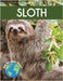 Sloth: Fascinating Animal Facts for Kids by Grady, Tyler