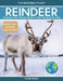 Reindeer: Amazing Facts About Nature's Arctic Travelers for Kids by Tyler Grady