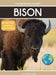 Bison: Fascinating Animal Facts for Kids by Tyler Grady