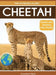 Cheetah: Fascinating Animal Facts for Kids by Tyler Grady