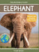 Elephant: Fascinating Animal Facts for Kids by Tyler Grady