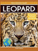 Leopard by Tyler Grady