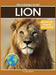 Lion by Tyler Grady
