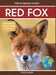 Red Fox: Fascinating Animal Facts for Kids by Tyler Grady