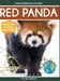 Red Panda by Tyler Grady