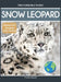 Snow Leopard by Tyler Grady