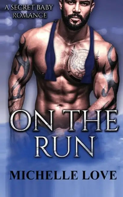 On the Run: A Secret Baby Romance by Michelle Love