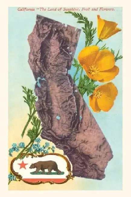 "The Vintage Journal California Map with Bear and Poppies by Found Image Press