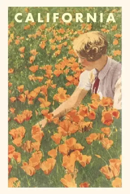 The Vintage Journal Woman sitting in Field of California Poppies by Found Image Press