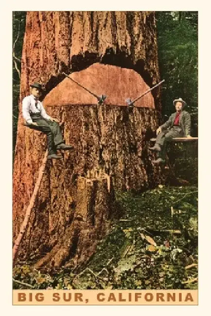 Vintage Journal Chopping Down a Redwood, Big Sur, California by Found Image Press