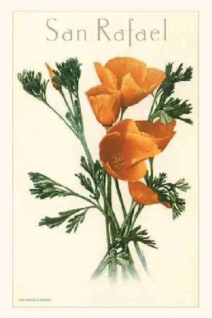 Vintage Journal San Rafael, California Poppies by Found Image Press