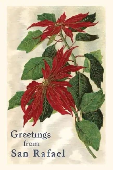 Vintage Journal Greetings from San Rafael, California by Found Image Press