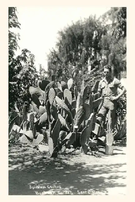 Vintage Journal Spineless Cactus, Burbank Garden by Found Image Press