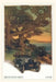 Vintage Journal Mendocino 1920 by Found Image Press