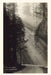 Vintage Journal Sunbeams and Redwoods by Found Image Press