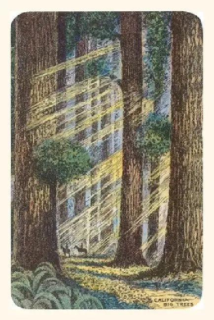 Vintage Journal Sunbeams and Redwoods by Found Image Press