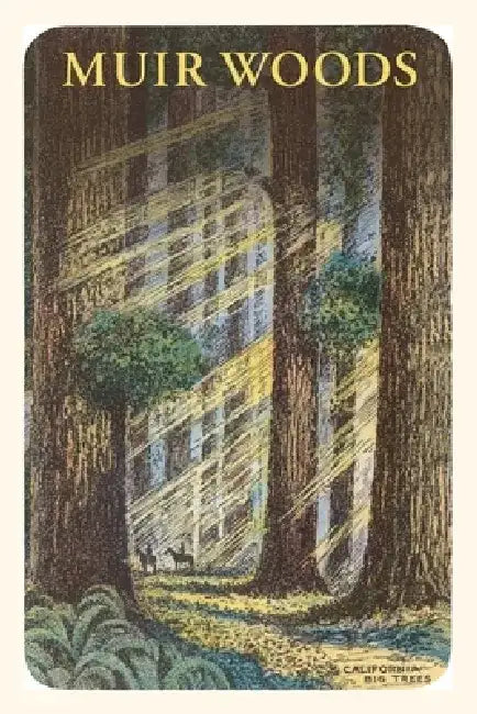 Vintage Journal Muir Woods by Found Image Press