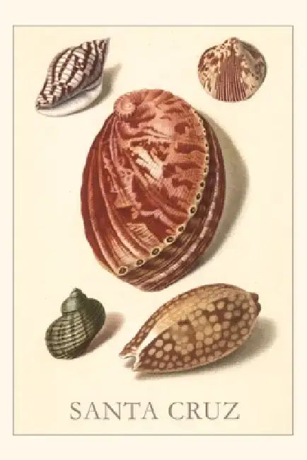 Vintage Journal Santa Cruz Shells by Found Image Press