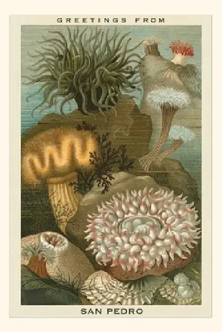 Vintage Journal Greetings from San Pedro by Found Image Press
