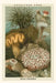 Vintage Journal Greetings from San Pedro by Found Image Press