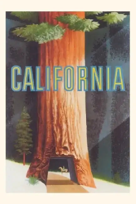 Vintage Journal Stylized California Sequoia by Found Image Press