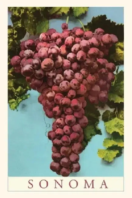 Vintage Journal Sonoma Grapes by Found Image Press