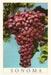 Vintage Journal Sonoma Grapes by Found Image Press