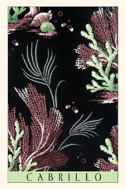 Vintage Journal Cabrillo, Kelp Beds by Found Image Press