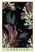 Vintage Journal Cabrillo, Kelp Beds by Found Image Press