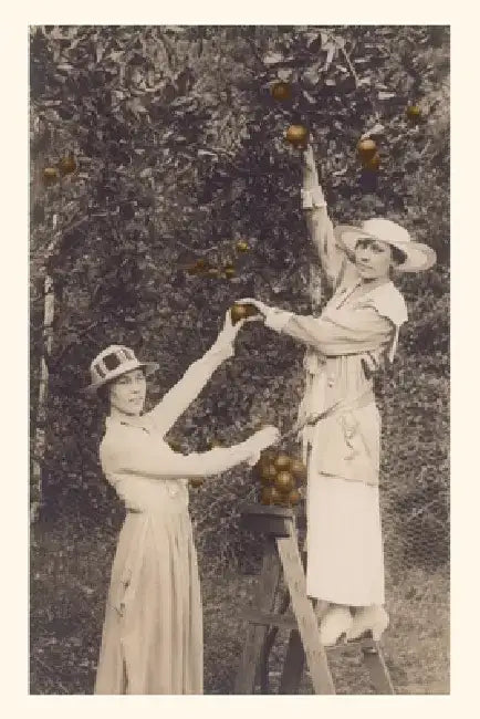 Vintage Journal Women Picking Oranges by Found Image Press