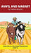 Anvil and Magnet Chapter Book: Decodable Chapter Book Series for Students Learning to Read. For Developing Readers and Students with Dyslexia. (Step 8 by Pamela Brookes, Brenda Hanna M. Ed, Doan Trang
