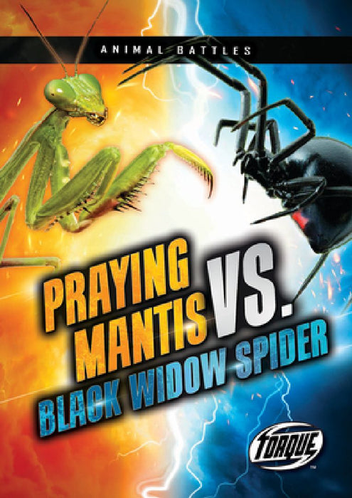 Praying Mantis vs. Black Widow Spider by Kieran Downs