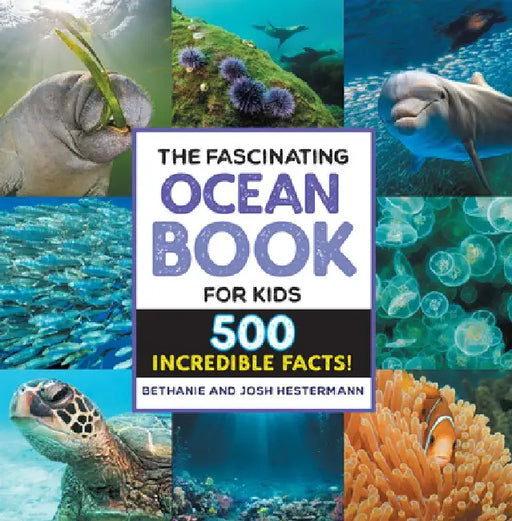 The Fascinating Ocean Book for Kids: 500 Incredible Facts! by Bethanie Hestermann