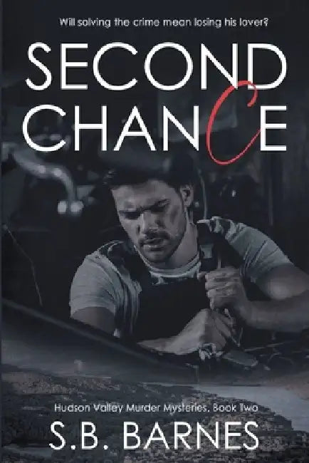 Second Chance by S. B. Barnes